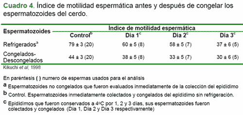 Criopreservación de semen tomado del epidídimo - Image 4