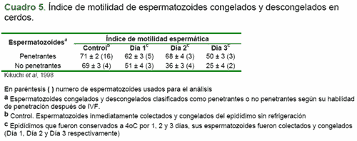 Criopreservación de semen tomado del epidídimo - Image 5
