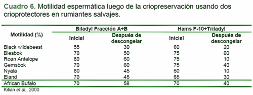 Criopreservación de semen tomado del epidídimo - Image 6