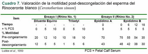 Criopreservación de semen tomado del epidídimo - Image 7