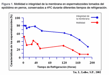 Criopreservación de semen tomado del epidídimo - Image 9