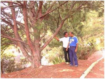Conservación y manejo de suelos y aguas - Image 7