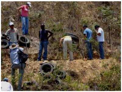 Conservación y manejo de suelos y aguas - Image 8
