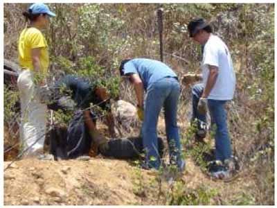 Conservación y manejo de suelos y aguas - Image 9