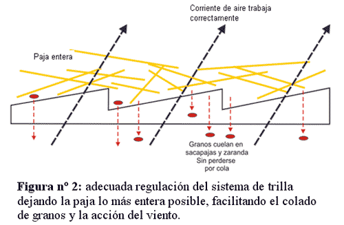 Relevamiento de pérdidas de granos en la cosecha de trigo 2007 - Image 2