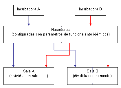 Más pollos y de mejor calidad con el sistema de Petersime de pérdida de peso - Image 1