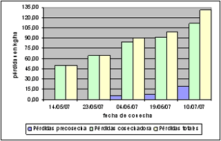 Incidencia del retraso en el inicio de la cosecha de soja sobre las pérdidas de precosecha y de cosechadora - Image 2