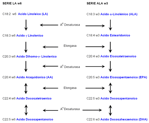 Omega-3 en monogástricos: Efecto nutricional y Sanitario - Image 3