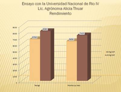Bacterias Solubilizadoras de Fósforo - Image 6