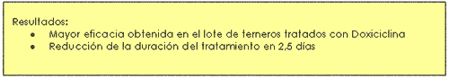 Doxiciclina y Bromhexina en el tratamiento y prevención de los procesos neumónicos en terneros - Image 3