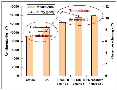 Fertilización de Soja: ¿Qué Estrategia Adoptamos? - Image 2