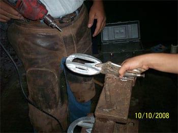 Un aporte en el tratamiento de laminitis e infosura en equinos - Image 1