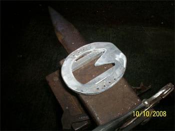 Un aporte en el tratamiento de laminitis e infosura en equinos - Image 2