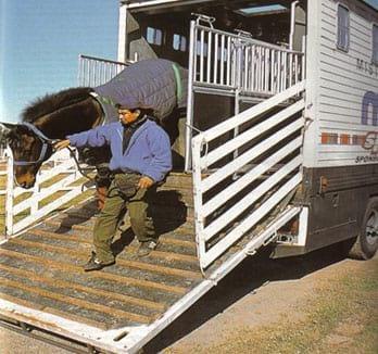 Transporte de equinos, Requisitos sanitarios y documentación - Image 3