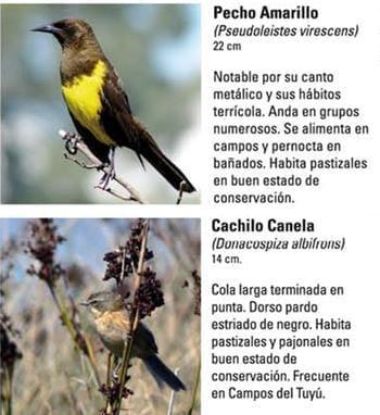 Produccion equina con concepto ambiental - Image 16