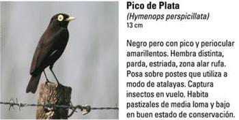 Produccion equina con concepto ambiental - Image 19
