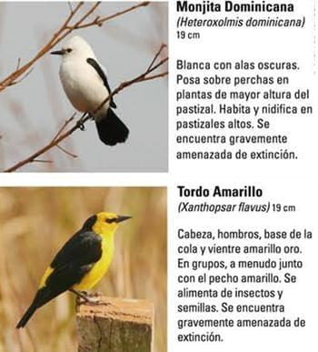 Produccion equina con concepto ambiental - Image 17