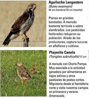 Produccion equina con concepto ambiental - Image 15