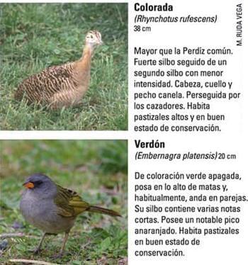 Produccion equina con concepto ambiental - Image 18