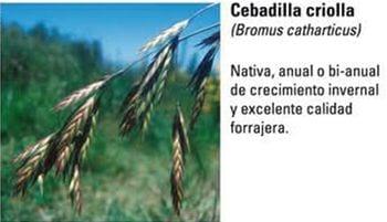 Produccion equina con concepto ambiental - Image 3