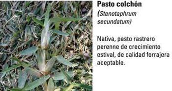 Produccion equina con concepto ambiental - Image 6