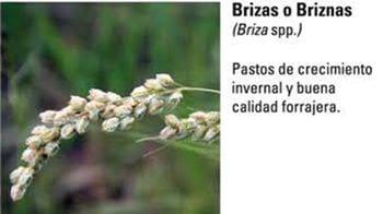 Produccion equina con concepto ambiental - Image 11