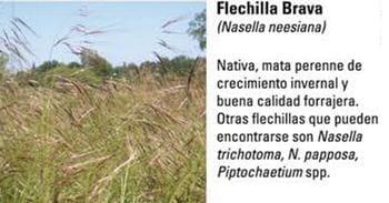 Produccion equina con concepto ambiental - Image 2