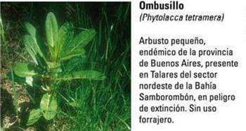 Produccion equina con concepto ambiental - Image 8
