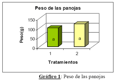 Utilización de inoculantes conteniendo Azospirillum en el cultivo de sorgo granífero - Image 1