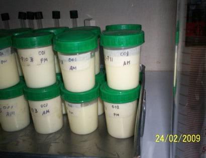 Calidad de Leche: Resultados de Análisis de Muestras de Leche - Image 7