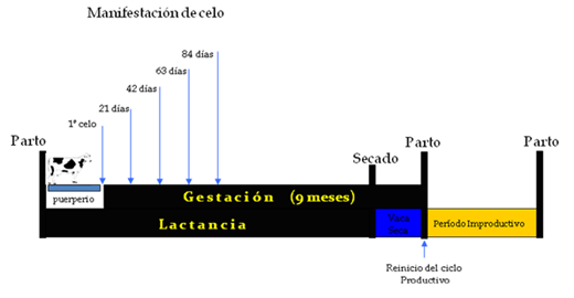 10 puntos claves para controlar la detección de celos - Image 3