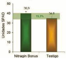 Mejorar la eficiencia de producción en trigo y otros cereales - Image 5