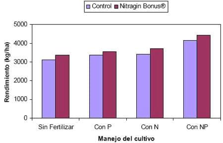 Mejorar la eficiencia de producción en trigo y otros cereales - Image 7