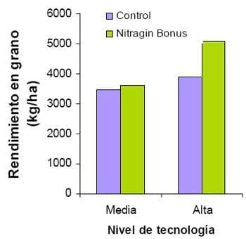 Mejorar la eficiencia de producción en trigo y otros cereales - Image 8