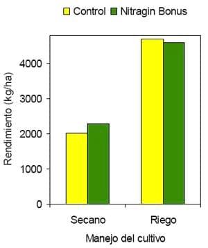Mejorar la eficiencia de producción en trigo y otros cereales - Image 10