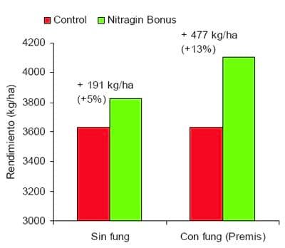 Mejorar la eficiencia de producción en trigo y otros cereales - Image 11