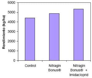 Mejorar la eficiencia de producción en trigo y otros cereales - Image 12