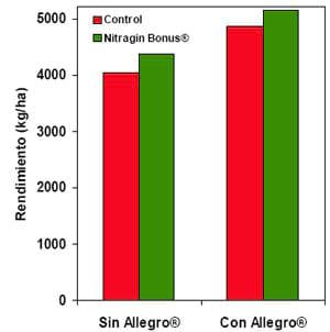 Mejorar la eficiencia de producción en trigo y otros cereales - Image 13