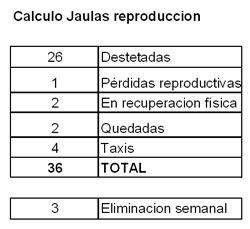 Alternativa productiva para tiempos de crisis 300 madres - Image 2