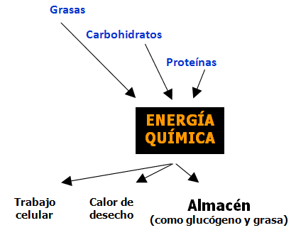 Formulación moderna y energía neta - Image 3