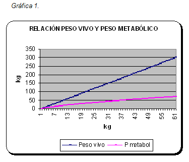 Formulación moderna y energía neta - Image 10