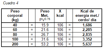 Formulación moderna y energía neta - Image 11