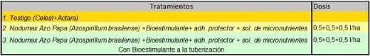 Evaluación de Nodumax Azo Papa sobre el desarrollo y rendimiento de Papa CV. Spunta, en plantación tardía, campaña 2009. - Image 1