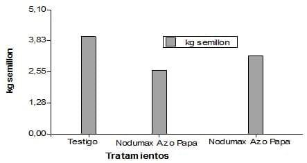 Evaluación de Nodumax Azo Papa sobre el desarrollo y rendimiento de Papa CV. Spunta, en plantación tardía, campaña 2009. - Image 17