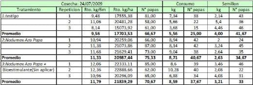 Evaluación de Nodumax Azo Papa sobre el desarrollo y rendimiento de Papa CV. Spunta, en plantación tardía, campaña 2009. - Image 8