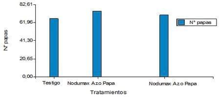 Evaluación de Nodumax Azo Papa sobre el desarrollo y rendimiento de Papa CV. Spunta, en plantación tardía, campaña 2009. - Image 14