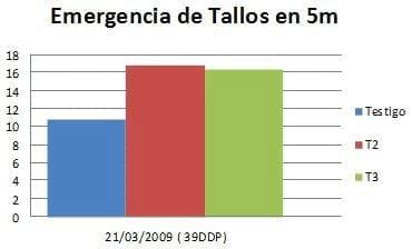 Evaluación de Nodumax Azo Papa sobre el desarrollo y rendimiento de Papa CV. Spunta, en plantación tardía, campaña 2009. - Image 4