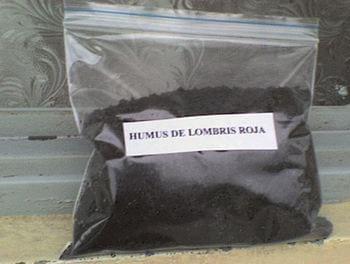 El contenido ruminal un recurso mal aprovechado - Image 3