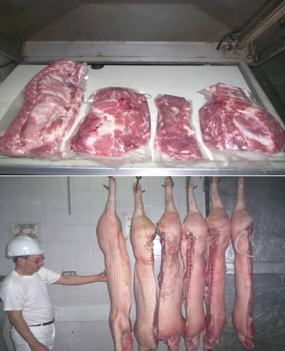 ¿ Para que un Programa Porcino? - Image 1