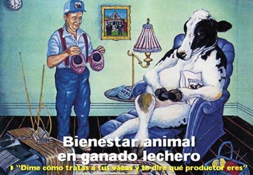 Bienestar animal en ganado lechero. El consumidor actual solicita reglas mínimas internacionales sobre el bienestar animal - Image 1